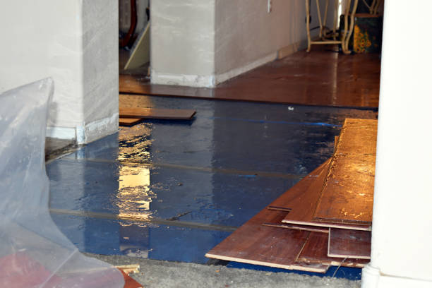 Professional Burst Pipe Water Damage technician working in Blackstone, VA